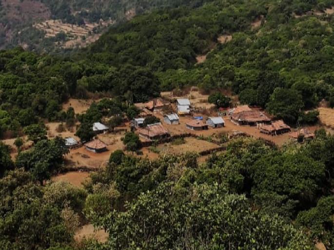 Notice to 5 persons including Satara District Collector in case of purchase of 620 acres of land in Zhadani | Satara: झाडानी प्रकरणी जिल्हाधिकाऱ्यांसह पाचजणांना नोटीसा Notice to 5 persons including Satara District Collector in case of purchase of 620 acres of land in Zhadani | Satara: झाडानी प्रकरणी जिल्हाधिकाऱ्यांसह पाचजणांना नोटीसा