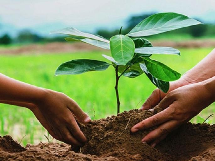 Plant trees win a prize of Rs 50000 in Sangli; A unique competition by Shivkisan Foundation | झाडे लावा, ५० हजार रुपयांचे बक्षीस मिळवा; सांगलीत शिवकिसान फाउंडेशनतर्फे अनोखी स्पर्धा Plant trees win a prize of Rs 50000 in Sangli; A unique competition by Shivkisan Foundation | झाडे लावा, ५० हजार रुपयांचे बक्षीस मिळवा; सांगलीत शिवकिसान फाउंडेशनतर्फे अनोखी स्पर्धा
