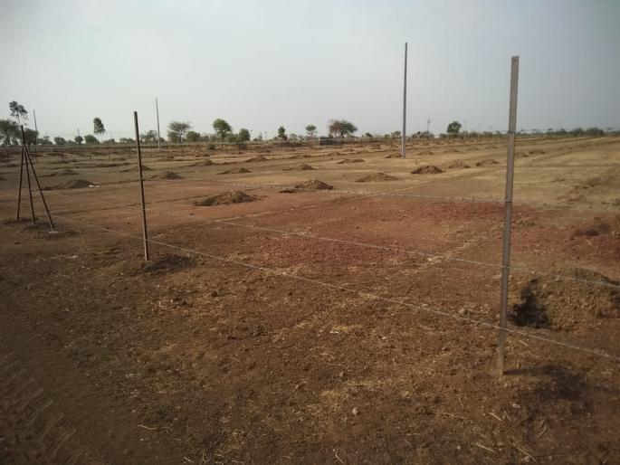 Zholebaba Institute's Resolve to 500 Plants | झोलेबाबा संस्थानचा ५०० झाडे लावण्याचा संकल्प Zholebaba Institute's Resolve to 500 Plants | झोलेबाबा संस्थानचा ५०० झाडे लावण्याचा संकल्प