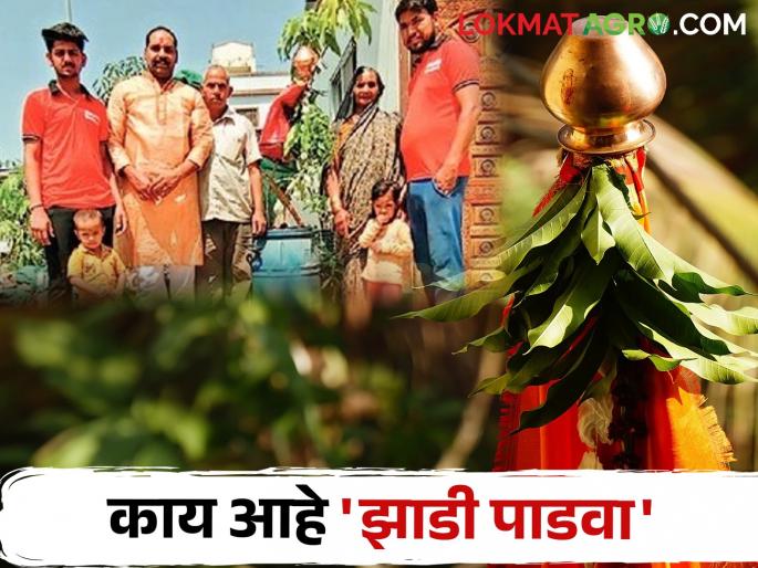 Farmer's New idea; Celebrated Padwa in different style with mango tree | शेतकऱ्याचा नवीन उपक्रम; पाडवा साजरा केला हटके स्टायलने Farmer's New idea; Celebrated Padwa in different style with mango tree | शेतकऱ्याचा नवीन उपक्रम; पाडवा साजरा केला हटके स्टायलने