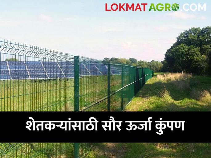 Latest News Jhatka machine on 75 percent subsidy to Gondia Bhandara farmers | 'या' शेतकऱ्यांना 75 टक्के अनुदानावर मिळणार झटका मशीन, वाचा सविस्तर Latest News Jhatka machine on 75 percent subsidy to Gondia Bhandara farmers | 'या' शेतकऱ्यांना 75 टक्के अनुदानावर मिळणार झटका मशीन, वाचा सविस्तर