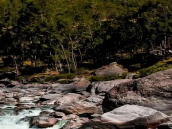 Optical Illusion: New Year's New Challenge! Find the bear in this photo; 98 percent of people are failed | Optical Illusion: नव्या वर्षातील नवे चॅलेंज! या फोटोत अस्वल शोधून दाखवा; 98 टक्के लोक दमले... Optical Illusion: New Year's New Challenge! Find the bear in this photo; 98 percent of people are failed | Optical Illusion: नव्या वर्षातील नवे चॅलेंज! या फोटोत अस्वल शोधून दाखवा; 98 टक्के लोक दमले...