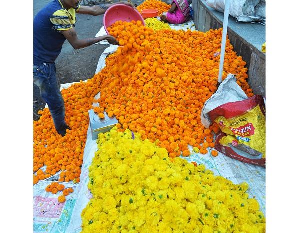 Flower prices have gone up, marigold at Rs 200 and tuberose at Rs 600 per kg | Ganpati Festival -कोल्हापूर बाजारपेठेमध्ये फुलांचे दर चांगलेच कडाडले
