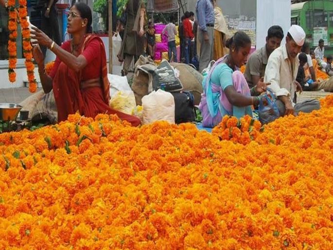 pune news arrivals down by 20 to 30 percent compared to last year; Farmers suffer losses in Dussehra, quality deteriorates | गतवर्षीच्या तुलनेत आवक २० ते ३० टक्क्यांनी कमी; ऐन दसऱ्यात शेतकऱ्यांचे नुकसान; दर्जा खालावला pune news arrivals down by 20 to 30 percent compared to last year; Farmers suffer losses in Dussehra, quality deteriorates | गतवर्षीच्या तुलनेत आवक २० ते ३० टक्क्यांनी कमी; ऐन दसऱ्यात शेतकऱ्यांचे नुकसान; दर्जा खालावला