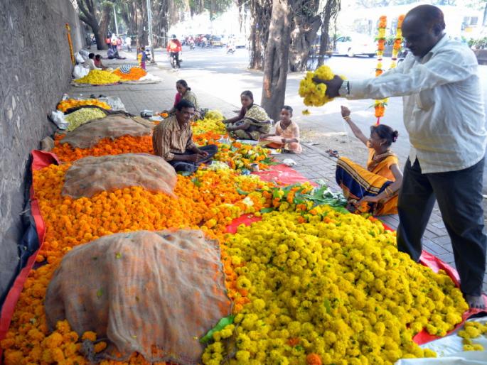 Solapur" pylon broke off due to heavy rain | Solapur : अतिवृष्टीमुळ गुढी पाडव्याच तोरण दुरावलं  Solapur" pylon broke off due to heavy rain | Solapur : अतिवृष्टीमुळ गुढी पाडव्याच तोरण दुरावलं