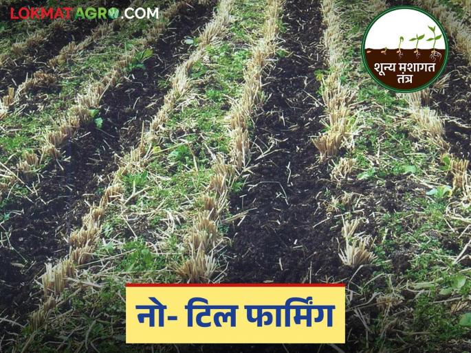 Zero Tillage Technology: latest news What is Zero Tillage Technology? Know more about this technology | Zero Tillage Technology: शून्य मशागत तंत्र म्हणजे काय? जाणून घ्या या तंत्राविषयी सविस्तर Zero Tillage Technology: latest news What is Zero Tillage Technology? Know more about this technology | Zero Tillage Technology: शून्य मशागत तंत्र म्हणजे काय? जाणून घ्या या तंत्राविषयी सविस्तर