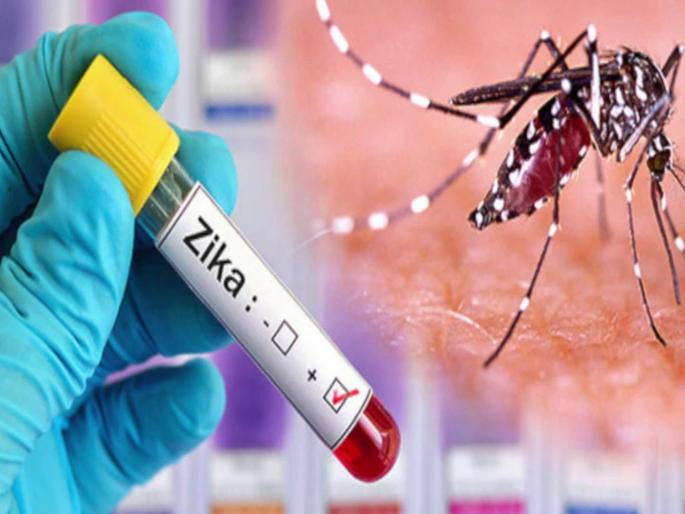 First patient of Zika virus in Mumbai; Municipal health system on alert mode | झिका व्हायरसचा पहिला रुग्ण मुंबईत; आरोग्य यंत्रणा अलर्ट, काय आहेत लक्षणे? First patient of Zika virus in Mumbai; Municipal health system on alert mode | झिका व्हायरसचा पहिला रुग्ण मुंबईत; आरोग्य यंत्रणा अलर्ट, काय आहेत लक्षणे?
