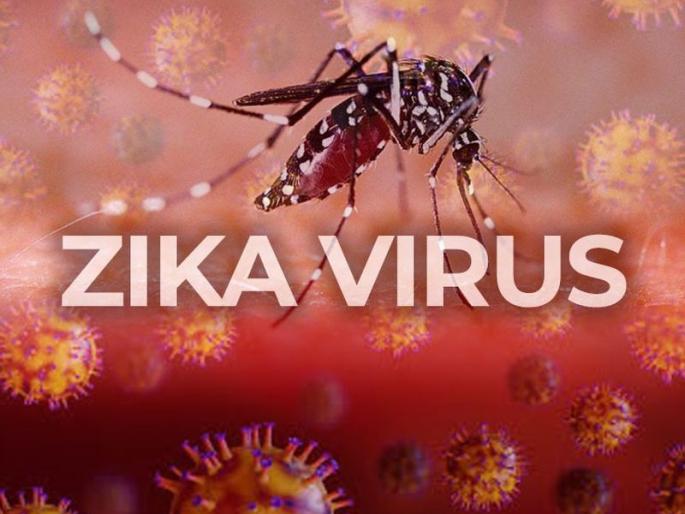 Zika threat: Samples taken from patients in Telhara, Kanheri Gawli | झिकाचा धाेका : तेल्हारा, कान्हेरी गवळीतील रुग्णांचे घेतले नमुने Zika threat: Samples taken from patients in Telhara, Kanheri Gawli | झिकाचा धाेका : तेल्हारा, कान्हेरी गवळीतील रुग्णांचे घेतले नमुने