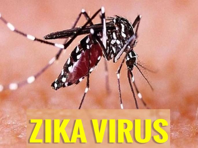 Congenital malformations in the baby if Zika occurs during pregnancy, Five pregnant women infected with Zika in Kolhapur | गर्भारपणात ‘झिका’ झाल्यास बाळास जन्मजात विकृती; कोल्हापुरात पाच गर्भवतींना झिकाची लागण, आरोग्य यंत्रणा सतर्क Congenital malformations in the baby if Zika occurs during pregnancy, Five pregnant women infected with Zika in Kolhapur | गर्भारपणात ‘झिका’ झाल्यास बाळास जन्मजात विकृती; कोल्हापुरात पाच गर्भवतींना झिकाची लागण, आरोग्य यंत्रणा सतर्क