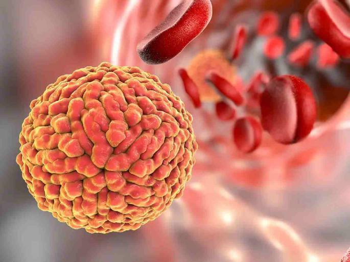 A 15-year-old boy also tested positive for Zika, along with two pregnant women; The total number of patients in Pune has reached 15 | दाेन गर्भवतींसह १५ वर्षीय मुलगाही झिका पाॅझिटिव्ह; पुण्यातील एकूण रुग्णांची संख्या १५वर A 15-year-old boy also tested positive for Zika, along with two pregnant women; The total number of patients in Pune has reached 15 | दाेन गर्भवतींसह १५ वर्षीय मुलगाही झिका पाॅझिटिव्ह; पुण्यातील एकूण रुग्णांची संख्या १५वर