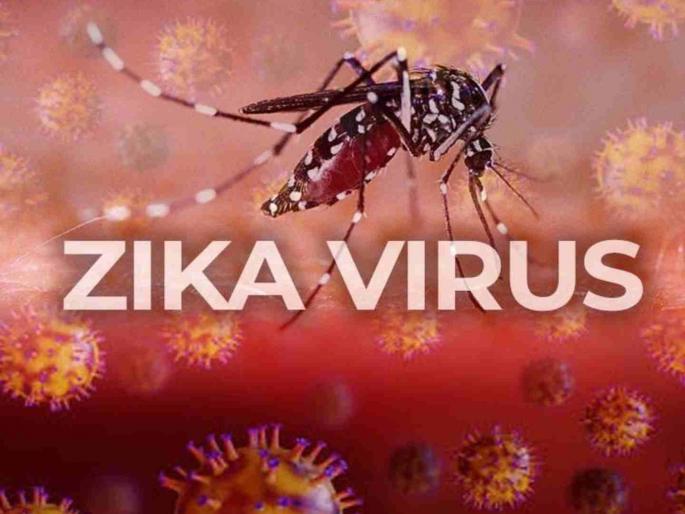 How to prevent Zika virus transmission | ‘झिका’ला असे राेखा ! How to prevent Zika virus transmission | ‘झिका’ला असे राेखा !