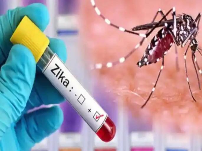 in mumbai 41 deaths from monsoon disease in nine months zika patient in mumbai condition stable | नऊ महिन्यांत पावसाळी आजाराचे ४१ मृत्यू; मुंबईत झिकाचा रुग्ण, प्रकृती स्थिर in mumbai 41 deaths from monsoon disease in nine months zika patient in mumbai condition stable | नऊ महिन्यांत पावसाळी आजाराचे ४१ मृत्यू; मुंबईत झिकाचा रुग्ण, प्रकृती स्थिर
