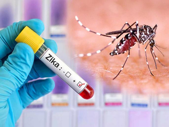 in mumbai eight cases of zika have been found in the last two month guidelines issued by ministry of health | 'झिका' आला; आरोग्य सांभाळा; आरोग्य मंत्रालयाकडून मार्गदर्शक सूचना जारी in mumbai eight cases of zika have been found in the last two month guidelines issued by ministry of health | 'झिका' आला; आरोग्य सांभाळा; आरोग्य मंत्रालयाकडून मार्गदर्शक सूचना जारी