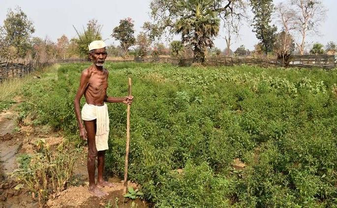 It is better to give up farming; No labor, no tractor! | शेती सोडून दिलेलीच बरी; मजूर मिळेना, ट्रॅक्टर परवडेना !