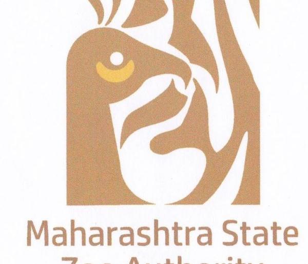 Maharashtra state Zoo Authority becoming White Elephant | महाराष्ट्र प्राणिसंग्रहालय प्राधिकरण ठरतोय पांढरा हत्ती Maharashtra state Zoo Authority becoming White Elephant | महाराष्ट्र प्राणिसंग्रहालय प्राधिकरण ठरतोय पांढरा हत्ती