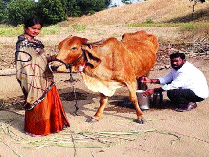 ZP became president, so ashamed to bribe? | झेडपी अध्यक्ष झालो, म्हणून झाडलोट करायला लाज कसली? ZP became president, so ashamed to bribe? | झेडपी अध्यक्ष झालो, म्हणून झाडलोट करायला लाज कसली?