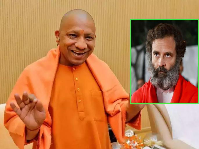 Karnataka wins but Congress lost in Uttar Pradesh by election, local body election; BJP only BJP...another SP, bsp | कर्नाटक जिंकले पण उत्तर प्रदेशमध्ये काँग्रेस हरले; पहिला भाजपा...दुसरा सपा... अन् तिसरा बसपा Karnataka wins but Congress lost in Uttar Pradesh by election, local body election; BJP only BJP...another SP, bsp | कर्नाटक जिंकले पण उत्तर प्रदेशमध्ये काँग्रेस हरले; पहिला भाजपा...दुसरा सपा... अन् तिसरा बसपा