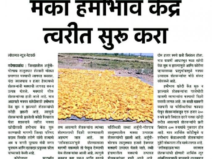 अखेर मका खरेदी केंद्र सुरू होणार! Marathi News Maize Shopping
