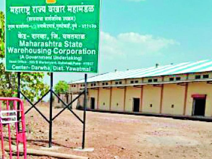 Stole two million pigs in Darwha | दारव्हा येथे दोन लाखांची तूर चोरली Stole two million pigs in Darwha | दारव्हा येथे दोन लाखांची तूर चोरली
