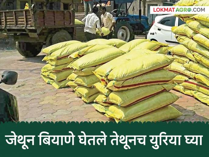 https://d3pc1xvrcw35tl.cloudfront.net/images/686x514/34-34-34-urea-fertilizer-farmer-agriculture_2026071749868.jpeg