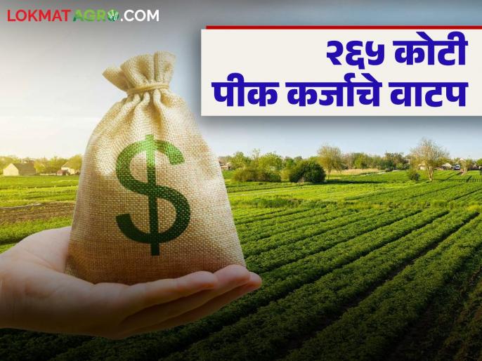 खरीपात शेतकऱ्यांना मिळणार आधार; विदर्भाच्या 'या' जिल्ह्यात २६५ कोटी रुपयांच्या पीक कर्जाचे वाटप
