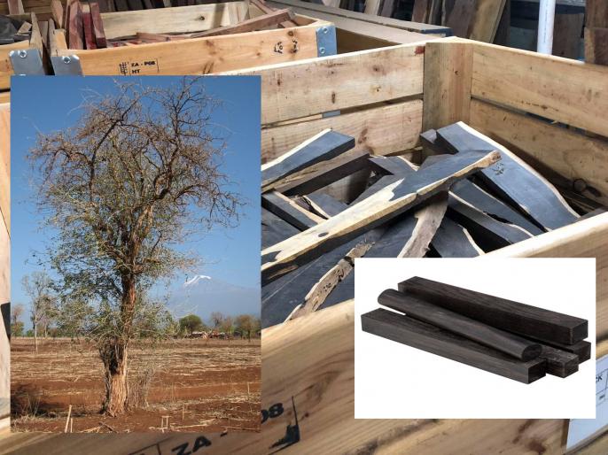 Do You Know African blackwood the most expensive wood in the world, 1