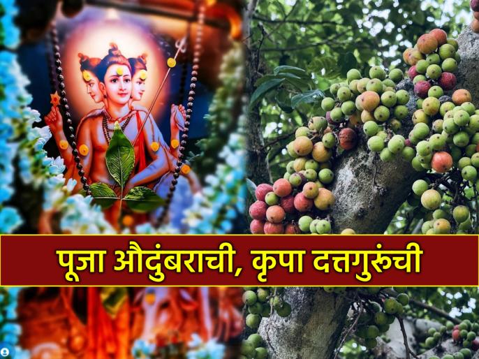 https://d3pc1xvrcw35tl.cloudfront.net/images/686x514/audumbar-panchami-2026-puja_2026021637803.jpg