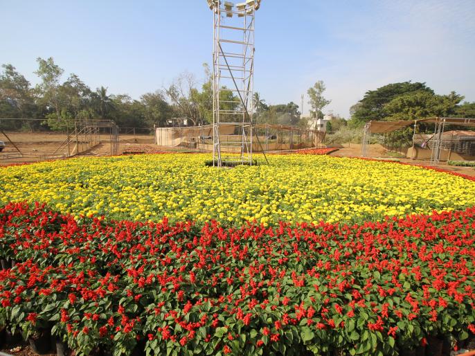 कोल्हापूर ‘केएसबीपी’तर्फे २४ पासून फ्लॉवर फेस्टिव्हल, जिल्ह्याच्या
