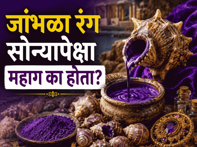 जांभळा रंग कधी काळी सोन्यापेक्षाही महाग होता; कारण जाणून थक्क व्हाल!