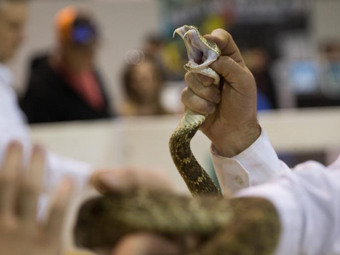 snake friend died because of negligence | सर्पमित्राचा निष्काळजीपणा जीवावर बेतला snake friend died because of negligence | सर्पमित्राचा निष्काळजीपणा जीवावर बेतला