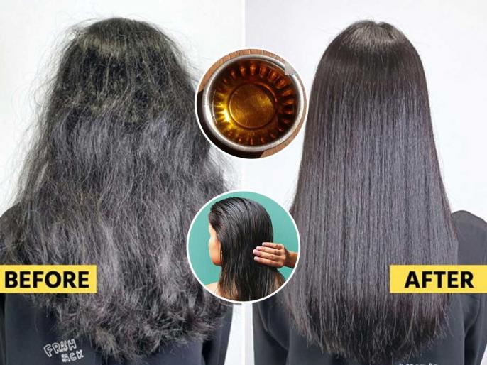 स्वयंपाकघरातील २ गोष्टी केसांना लावा, खराट्यासारखे कोरडे केस होतील बोटॉक्स केल्यासारखे सुंदर