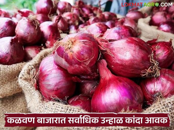 नाशिक जिल्ह्यातून सर्वाधिक उन्हाळ कांदा बाजारात; वाचा आजचे कांदा बाजारभाव