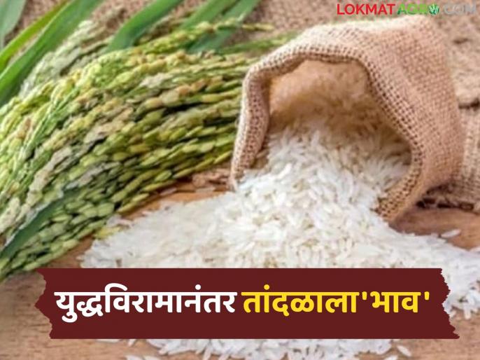  हवामान बदल आणि पर्यावरण बातम्या preview 1