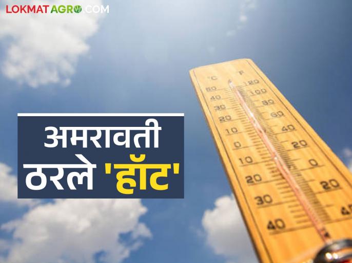 https://d3pc1xvrcw35tl.cloudfront.net/images/686x514/vidarbha-heat-wave-update-1_2026041685875.jpg