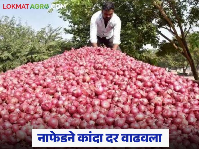 Kanda Market : कांदा खरेदी दरात केंद्राकडून वाढ; प्रतिकिलो 16.50 रुपये दर, स्टॉकचा कांदा खाणार भाव?