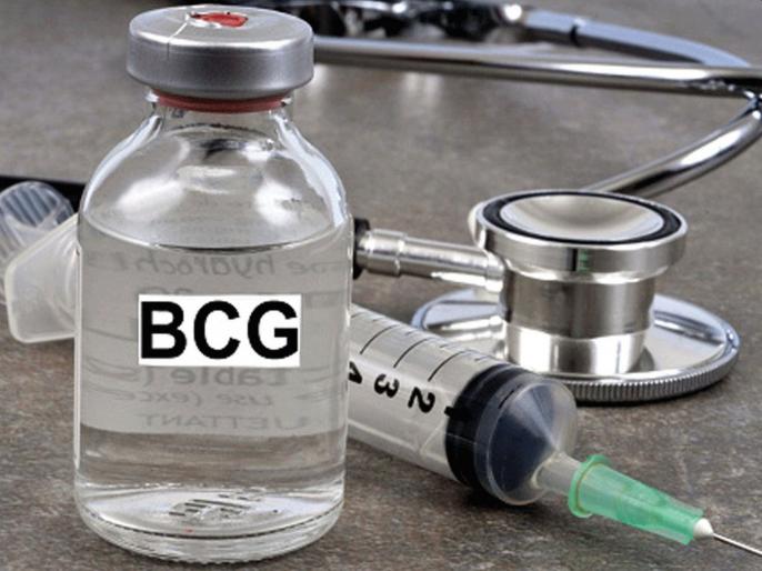 CoronaVirus BCG vaccine will save India from Corona;  new research hrb |  CoronaVirus coronavirus antifungal BCG gluten Banaar Bharathiyachi 'shield';  1949 passoon pasteurization