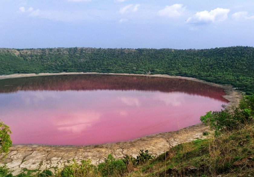 Lonar water turned pink due to Haloarcia microorganism | ... म्हणून लोणारचे पाणी झाले गुलाबी, रिसर्च संस्थेचा अहवाला आला