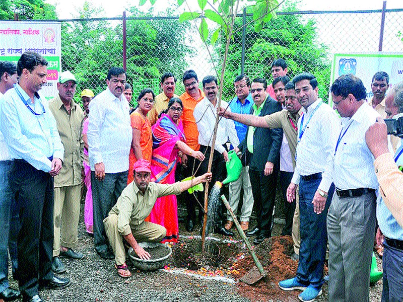  Amazing tree plantation campaign in the municipal corporation | महापालिकेतर्फेशहरात वृक्षारोपण मोहीम