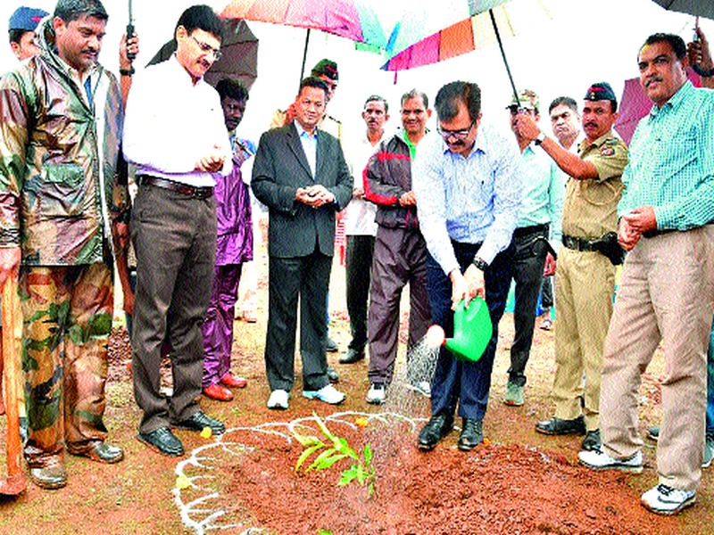  Launch of tree plantation campaign in the district | जिल्ह्यात  वृक्षलागवड मोहिमेचा शुभारंभ
