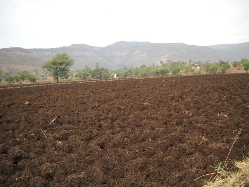 Vidarbha will hold free land for free land | विदर्भातील नझूल जमिनी होणार ‘फ्री होल्ड’