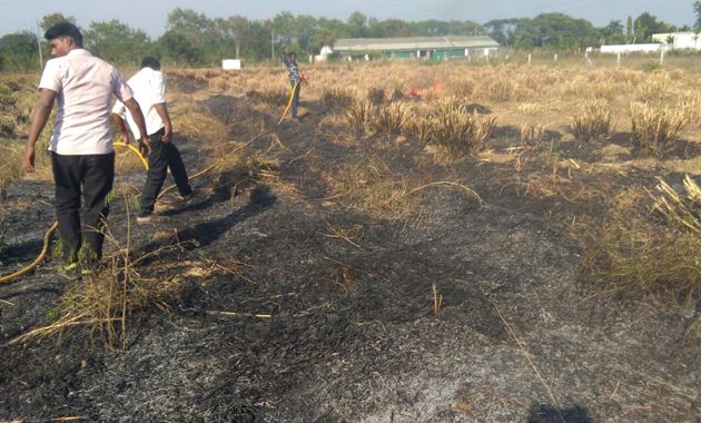 cattle feed in ​​Anandvan area burned out | आनंदवन परिसरातील नऊ एकरातील जनावरांचा चारा जळून खाक