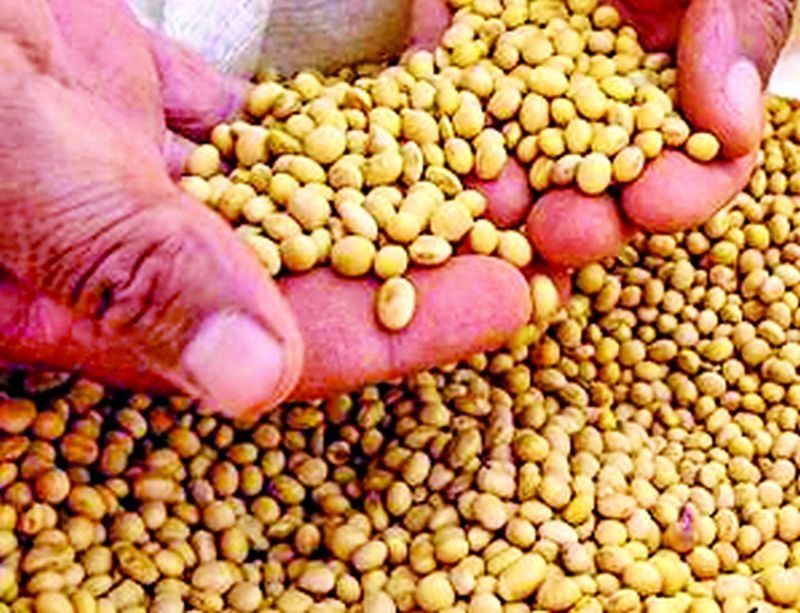 Soybean: Guaranteed price of Rs. 3880 | सोयाबीन : हमीभाव रु ३८८०