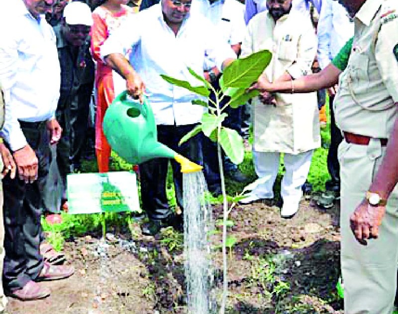 Start of 13 million tree plantation campaign | १३ कोटी वृक्ष लागवड मोहिमेला प्रारंभ