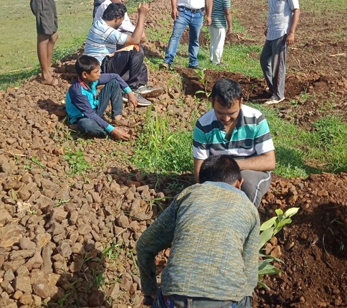 Seven seedlings planted by the government's babu | ‘सरकारी बाबू’नी श्रमदानातून लावली सत्तर रोपे