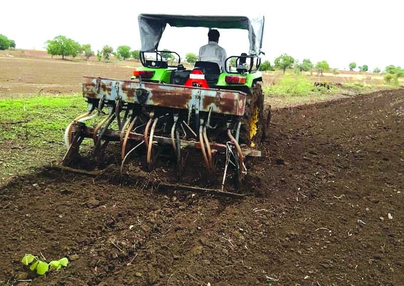 Sowing of Kharif over 55 thousand hectare area in Buldana district | बुलडाणा जिल्ह्यात ५५ हजार हेक्टर क्षेत्रावर खरीप पेरणी