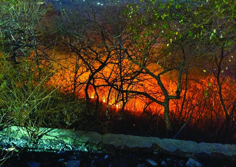 Fire in Rajur Ghat, damage to forest resources | राजूर घाटात आग, वनसंपदेचे झाले नुकसान