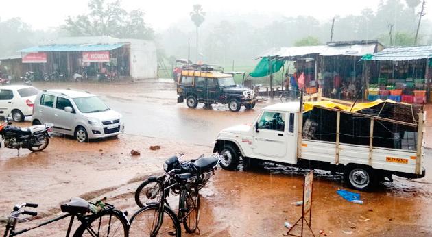 Rainfall in different parts of the district including Bhamragarh | भामरागडसह जिल्ह्याच्या विविध भागात पाऊस