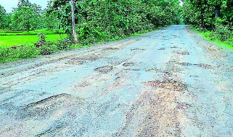 National road condition is tough | राष्ट्रीय मार्गाची अवस्था बिकट