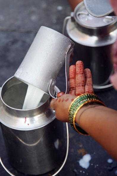 Drought in Ganga during the famine | दुष्काळातही दुधाची गंगा
