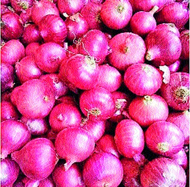 Onion at Lasalgaon @ Rs 4950 | लासलगाव येथे कांदा @ 4950 रुपये